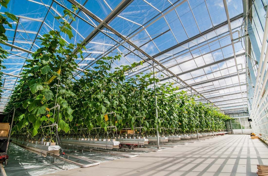 Farm ventilation automation monitoring environment from the Monnit guide