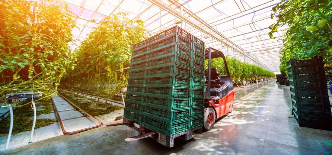 Application photograph from the Monnit Greenhouse growing conditions guide