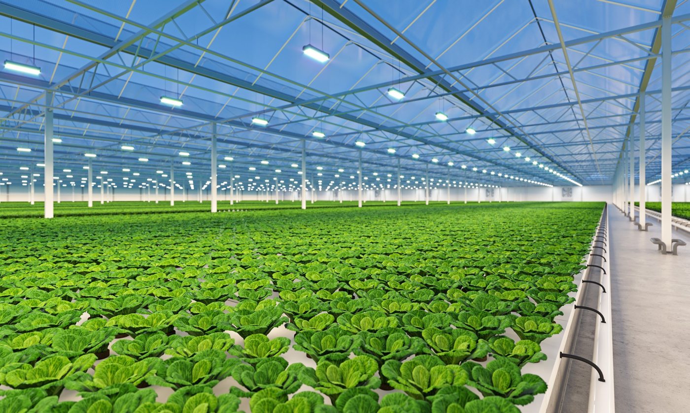 Greenhouse growing conditions monitoring environment from the Monnit guide
