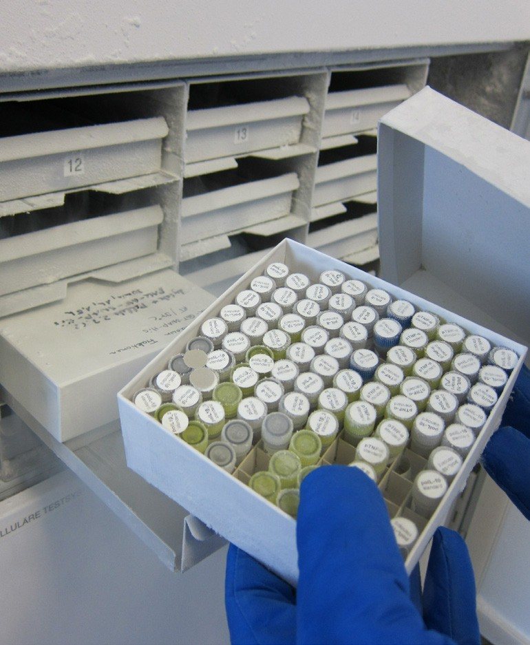 Pharmaceutical refrigeration environment pictured in the Monnit guide